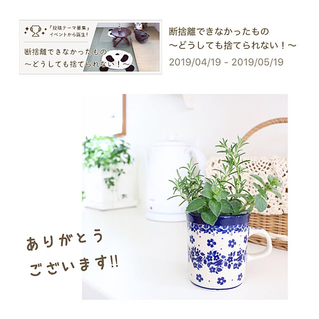 moimoiさんの実例写真