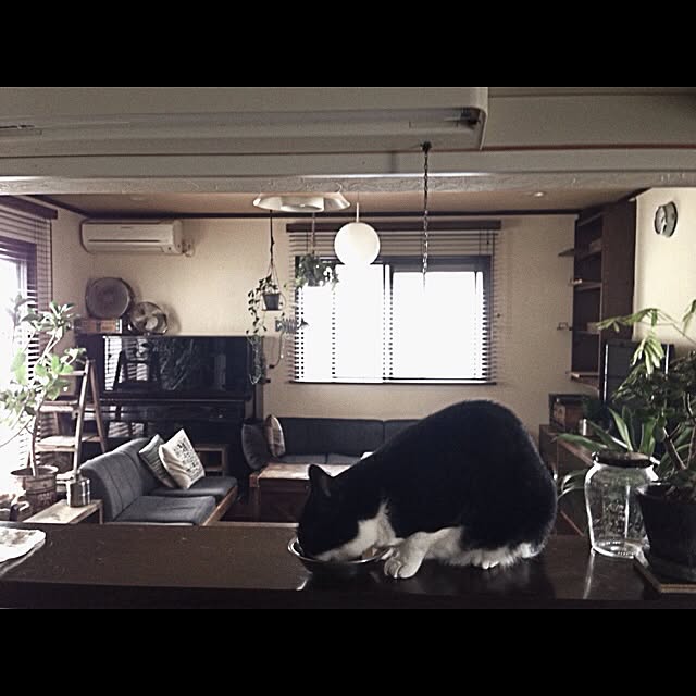 jnkaiさんの実例写真