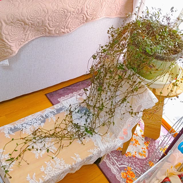 mariaさんの実例写真