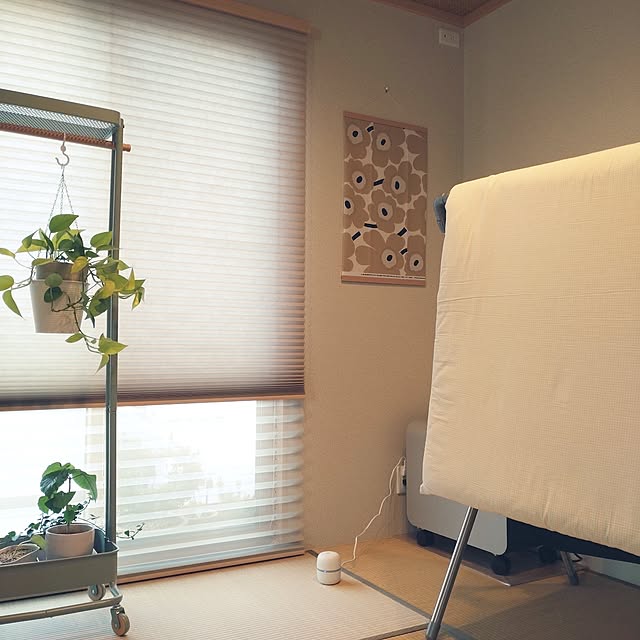 tan5さんの実例写真