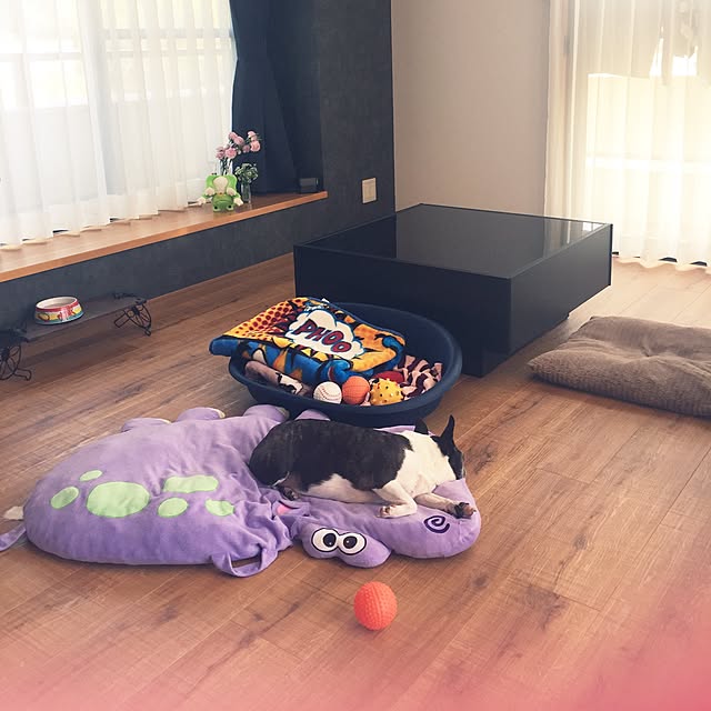 juneさんの実例写真