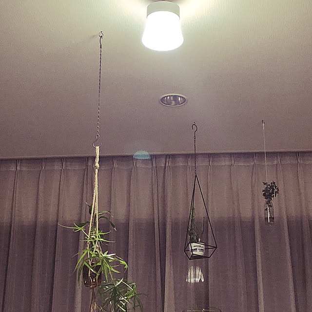 alohalightさんの実例写真