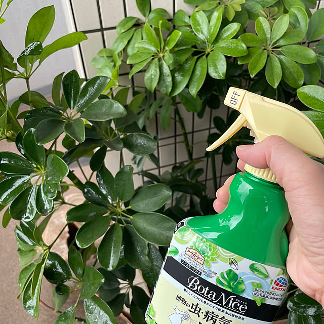 rinrinさんの部屋
