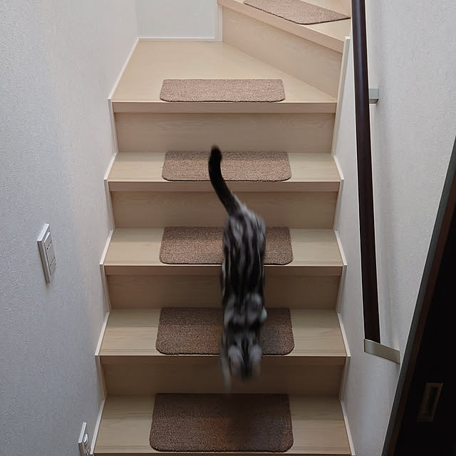 NANACOCOさんの実例写真