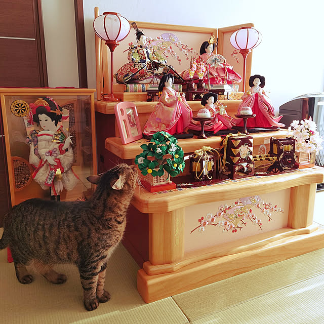 雛人形陶器作家猫 締め付けれ 雛人形陶器作家猫 締め付けれ