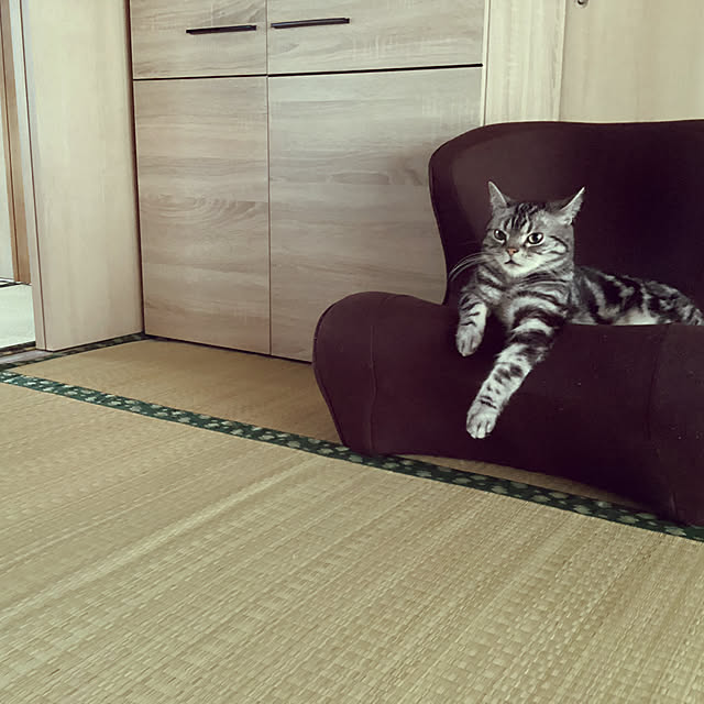 richanさんの実例写真