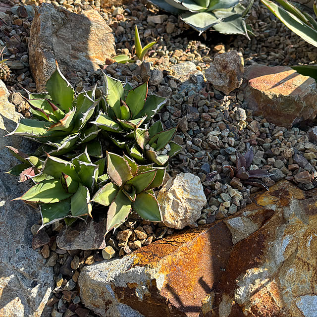 bonjiri0824さんの実例写真