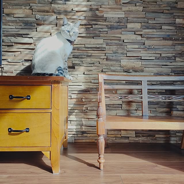 Atelier_tamakiさんの部屋