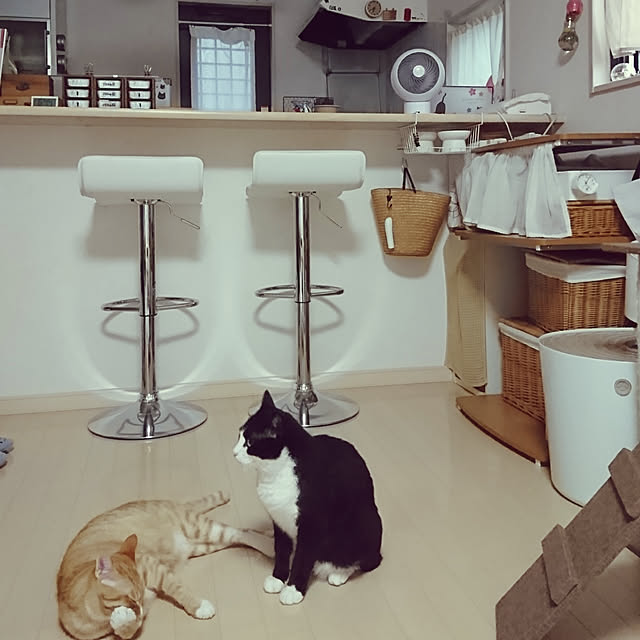 koromaroさんの実例写真