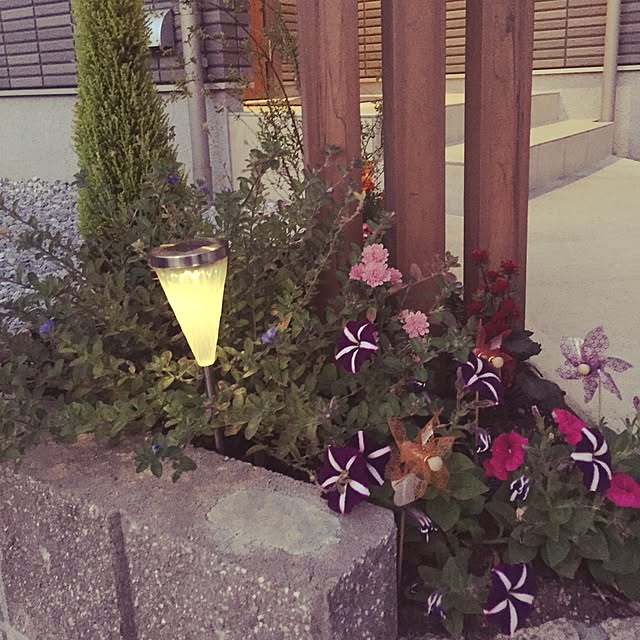 玄関/入り口/玄関周りを緑で茂らせたい願望のインテリア実例 - 2015-10-13 21:01:07