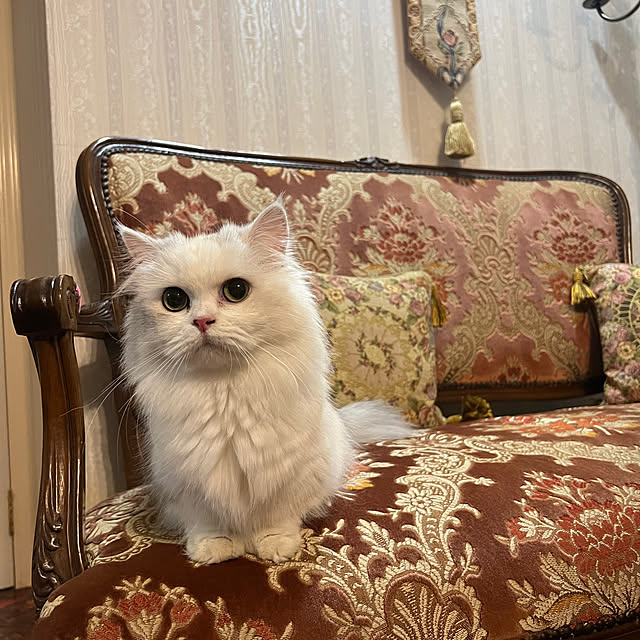 AYUKOさんの部屋