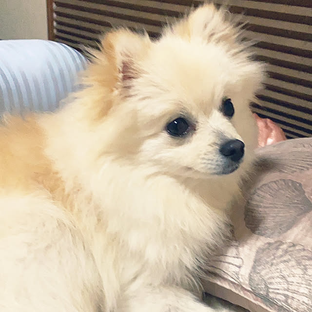 1546さんの部屋