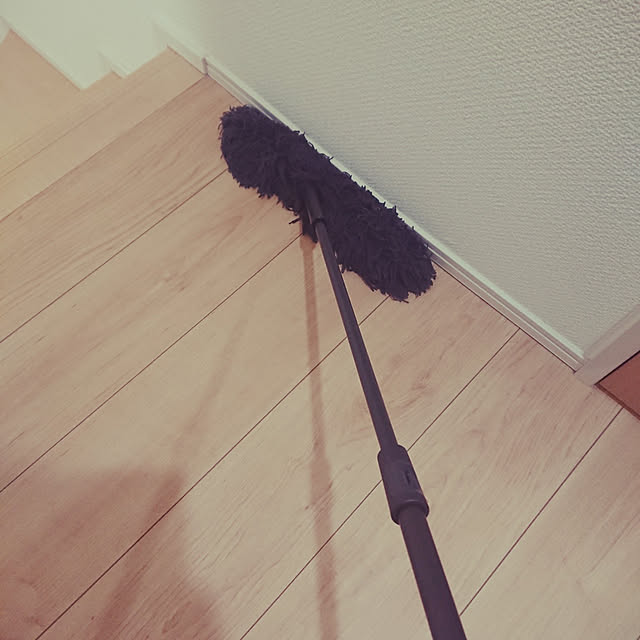 honey.catさんの実例写真