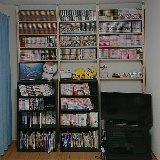 ken_papaさんの実例写真