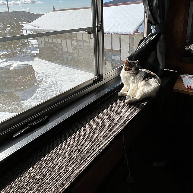ykk210さんの実例写真
