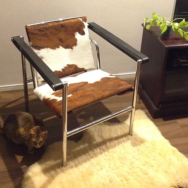 1633さんの実例写真