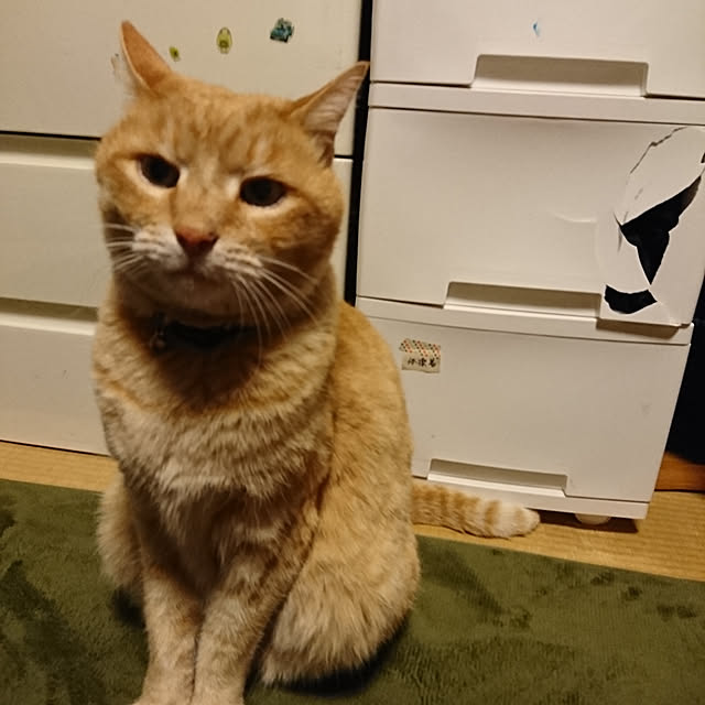 keiさんの実例写真