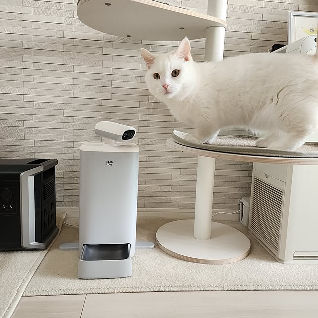 tomatoさんの部屋