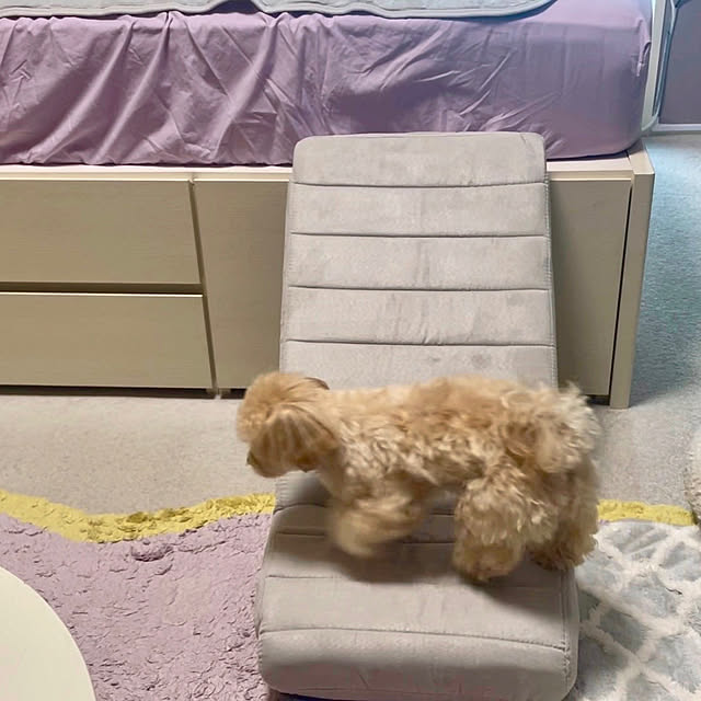 miyuさんの実例写真