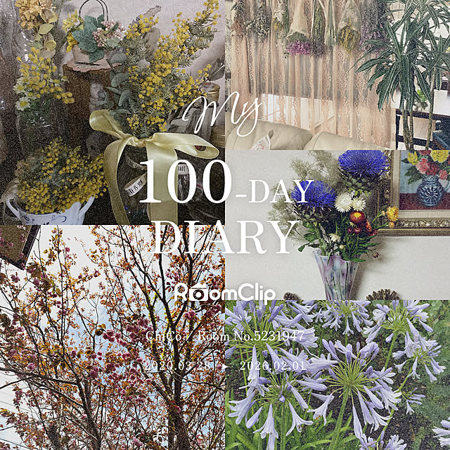 ChiCoさんの実例写真