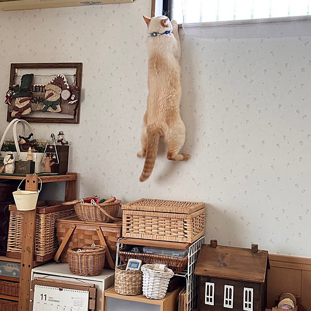 mohhaさんの部屋