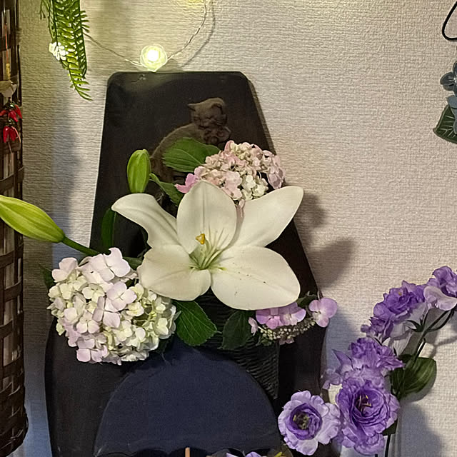 ritsukoさんの部屋
