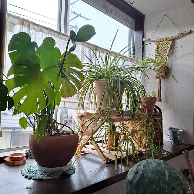 midoriさんの部屋