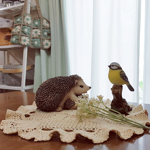 akanegumoさんの実例写真