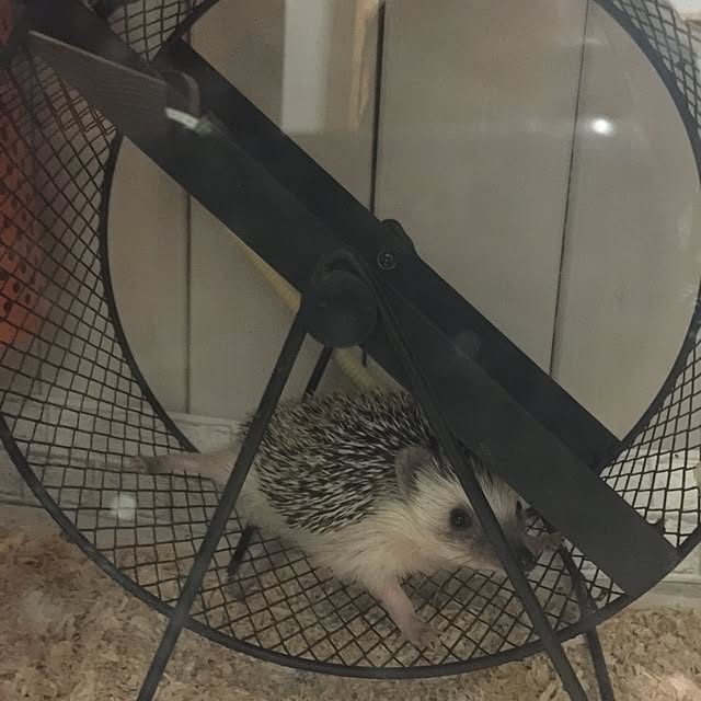 RURULOVEさんの実例写真