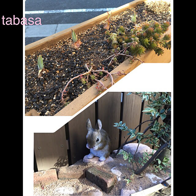 tabasaさんの実例写真