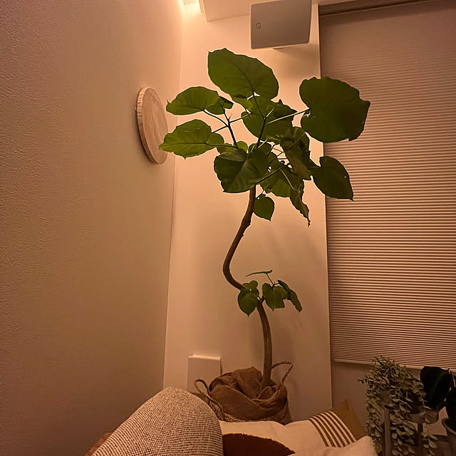 lrikaさんの部屋