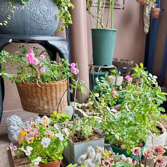 naokoさんの部屋