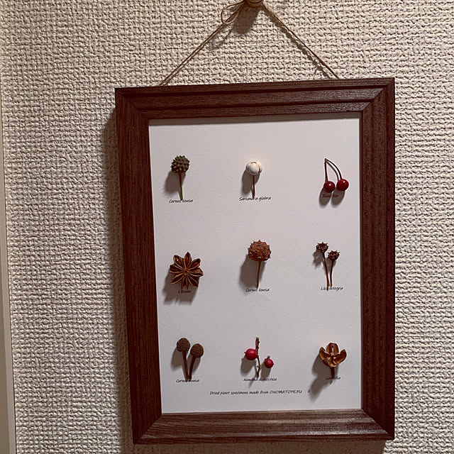 ayacoさんの実例写真