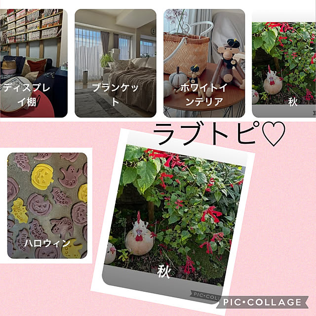 CoCo0617さんの実例写真