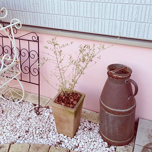 achuさんの実例写真