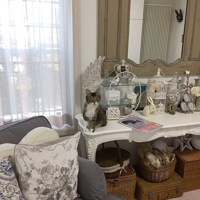 yuchiさんの実例写真