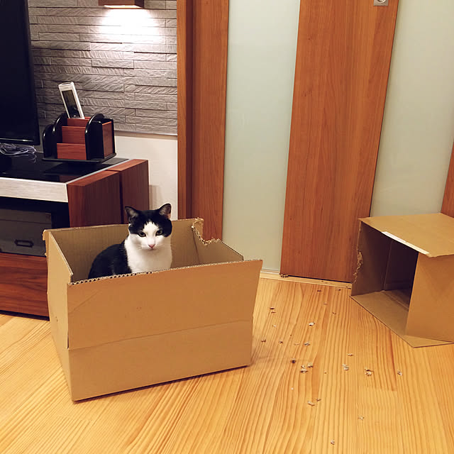 aruさんの実例写真