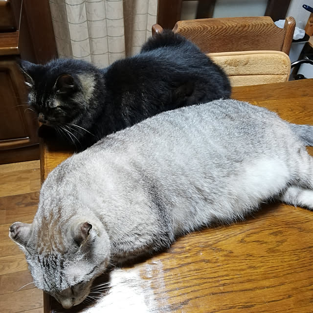 Hotaruさんの実例写真