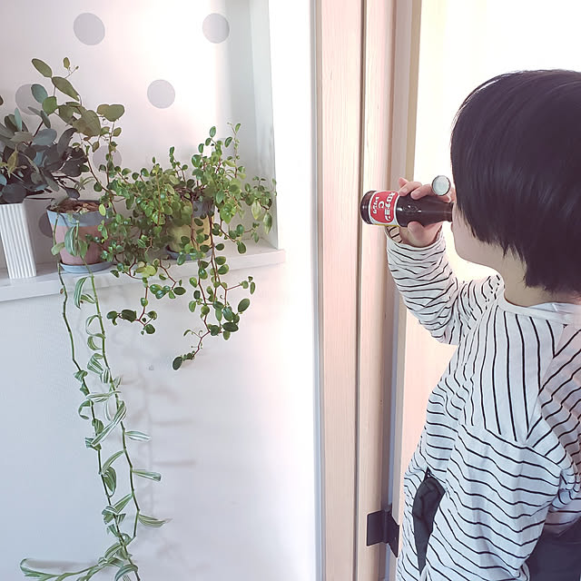 saさんの実例写真