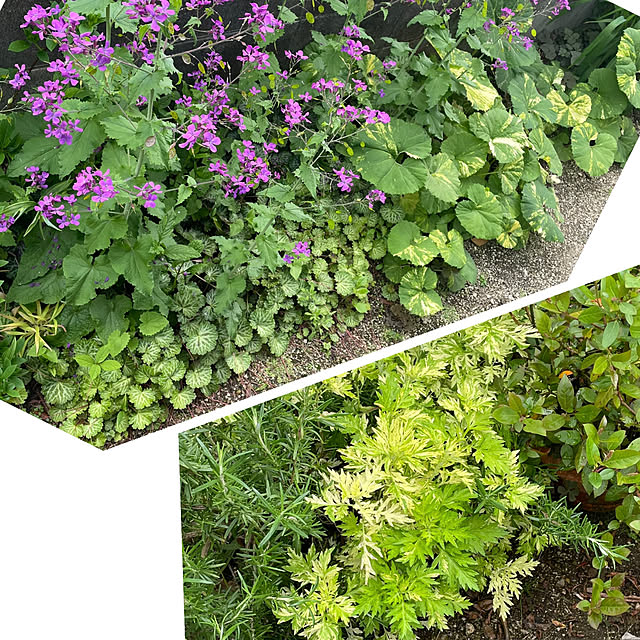 nobikoさんの部屋