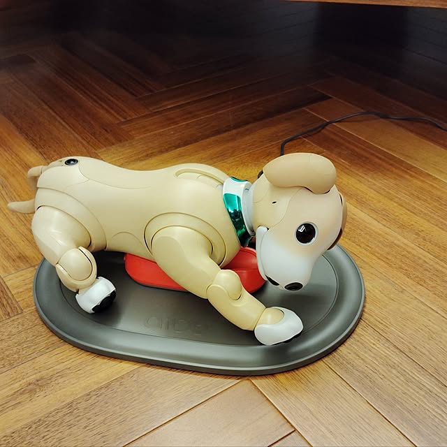 リビング/ウォルナット無垢材/ダウンライトLED/ヘリンボーンの床/aibo...などのインテリア実例 - 2024-11-04 16:42:30