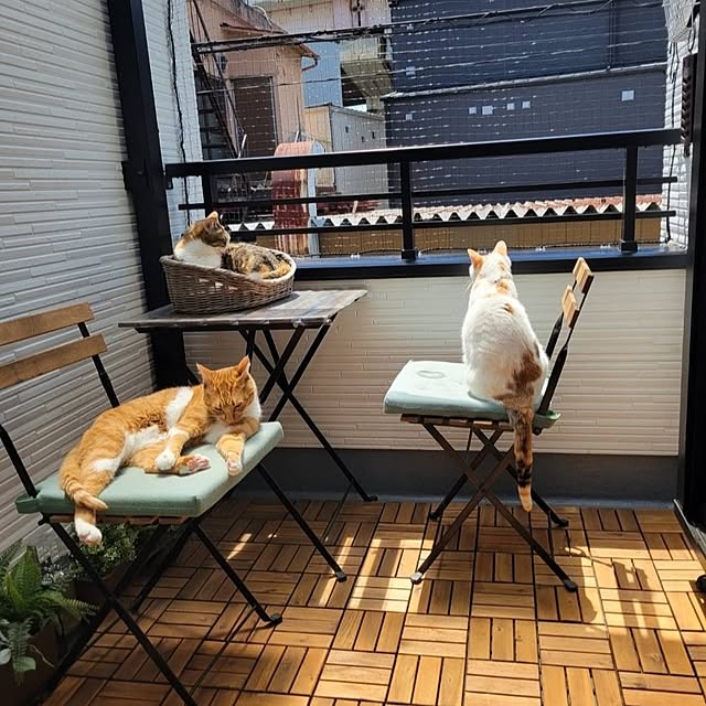 hiroさんの実例写真