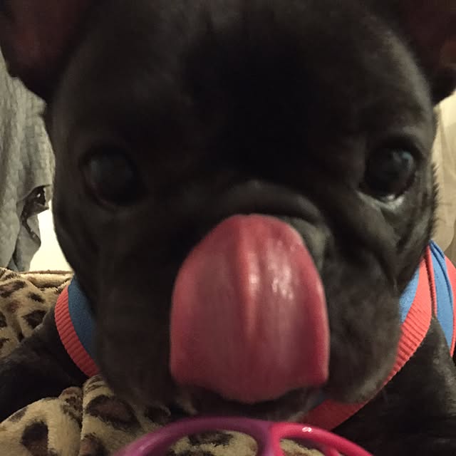 Suijiさんの実例写真