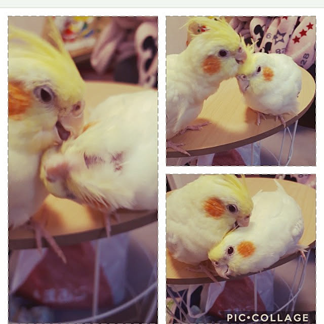 ANTENNAさんの実例写真