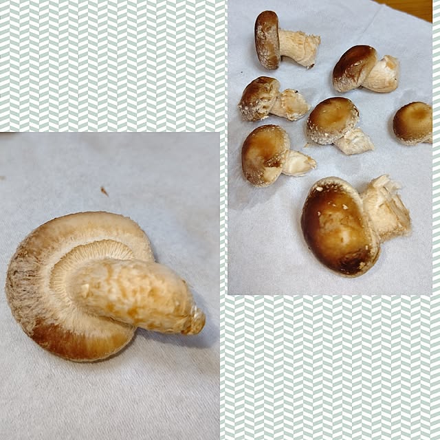 yumirinさんの部屋