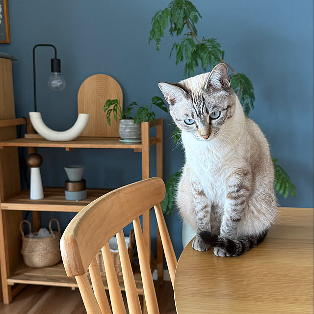 amさんの実例写真
