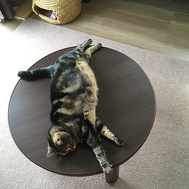 mikomaruさんの実例写真