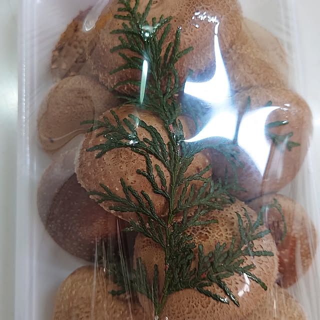noguriさんの部屋
