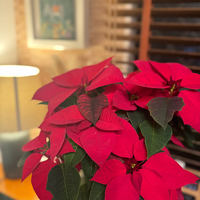 okyosan101さんの部屋