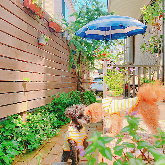 risaさんの実例写真